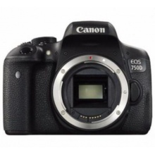 佳能（CANON）套机800D,18-55+55-250双镜头含卡/照相机包/备用电池 /三脚架/三脚架滑轮